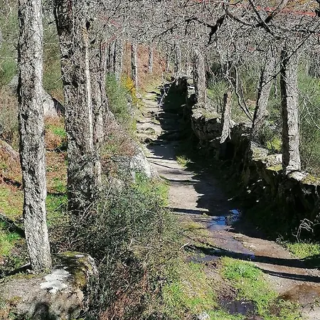 Casa Fundevila 3* فيلا فيرد