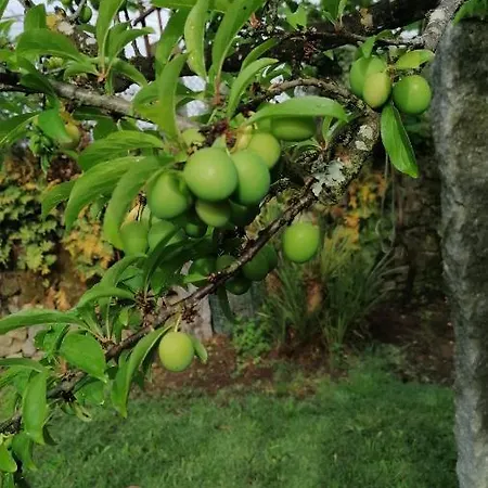 De Charme Casa Fundevila 韦尔迪镇