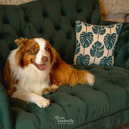 Ξενοδοχείο De Charme Casa Fundevila Vila Verde (Braga)