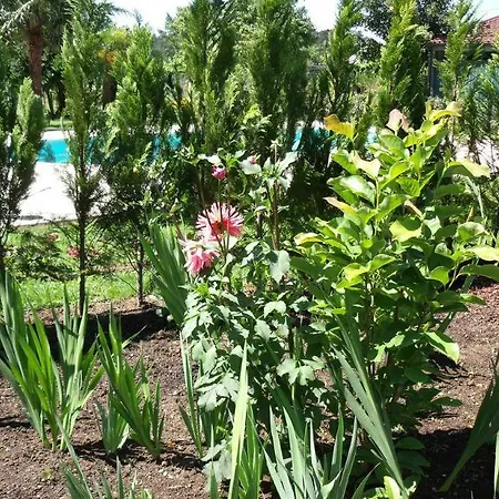 Casa Fundevila فندق 3*