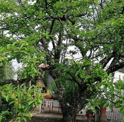 Ξενοδοχείο De Charme Casa Fundevila 3*