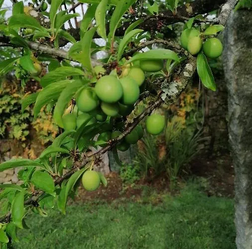 De Charme Casa Fundevila 韦尔迪镇