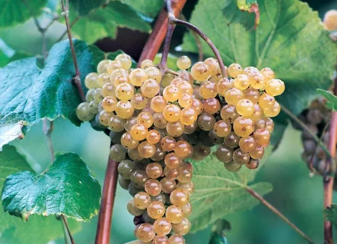 Hotel De Charme Casa Fundevila