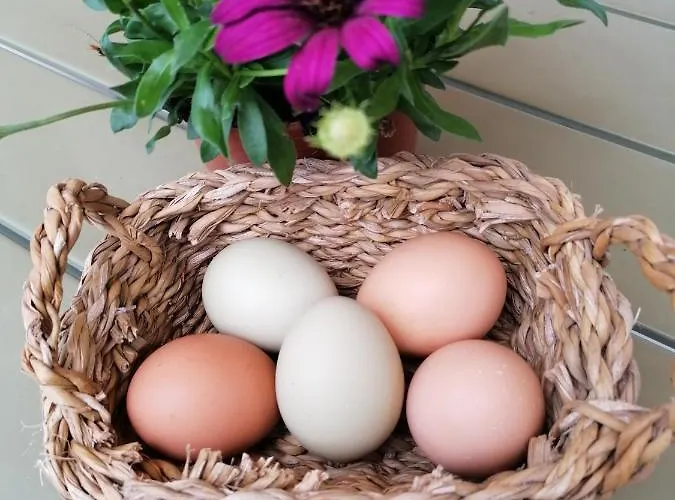 Hotel De Charme Casa Fundevila Vila Verde (Braga)