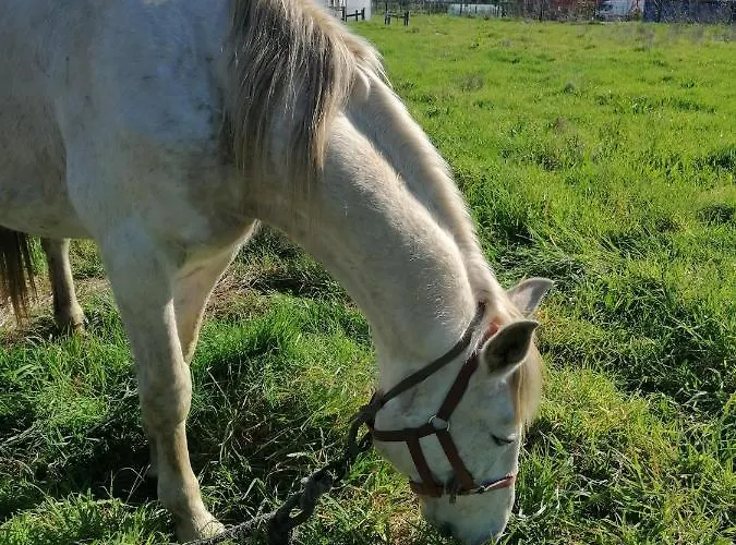 De Charme Casa Fundevila 3* 韦尔迪镇