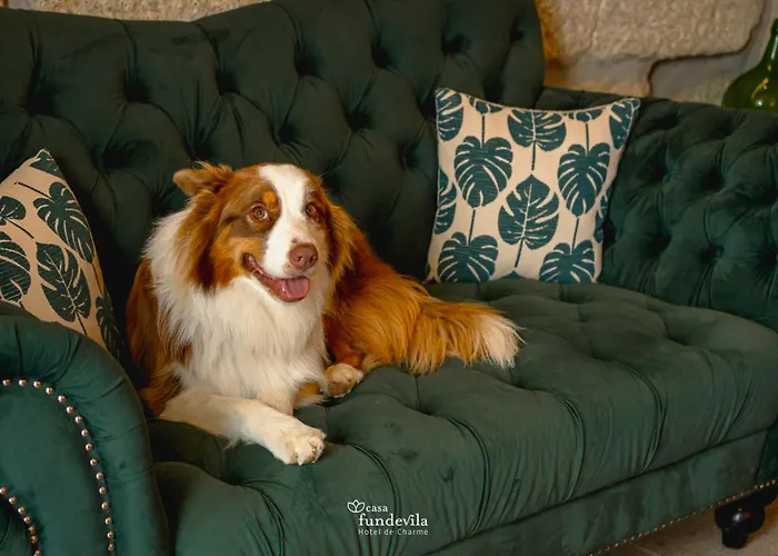 Hotel De Charme Casa Fundevila Vila Verde (Braga)